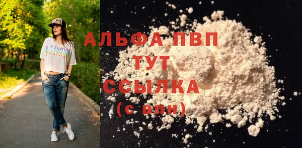 молекула духа Гусев