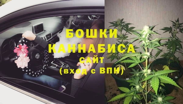 COCAINE Гусь-Хрустальный