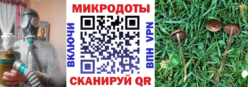 Купить где  Нея  Галлюциногенные грибы ЛСД 