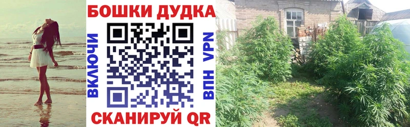 Купить закладки  Нея  Конопля OG Kush 